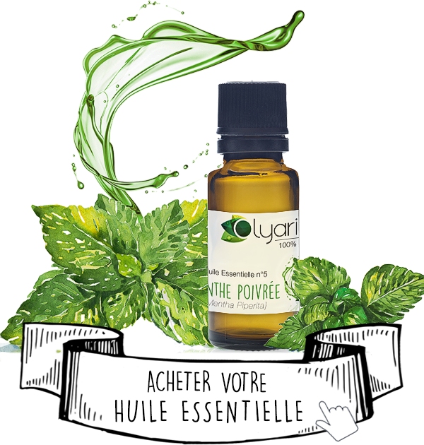 Huile Essentielle de Menthe Poivrée contre la Constipation - Olyaris